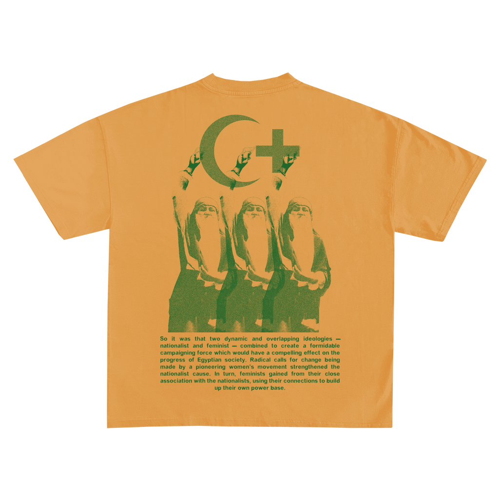 She Did It I tee shirt